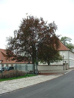 Triesdorf