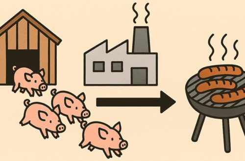 links ein Stall aus dem Schweine in eine Fabrik laufen. Rechts steht ein Grill mit Würstchen.