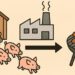 links ein Stall aus dem Schweine in eine Fabrik laufen. Rechts steht ein Grill mit Würstchen.